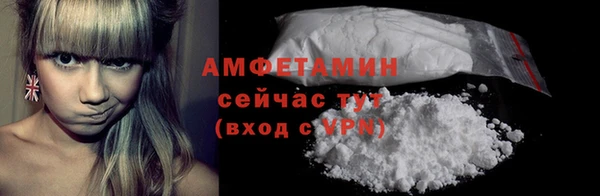 амф Пестово