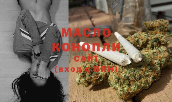 амф Пестово